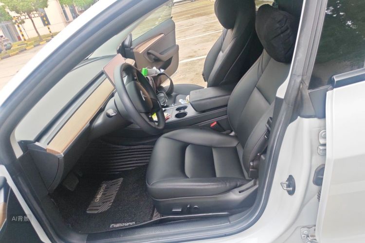 Tesla Model 3 2021 car image #17
