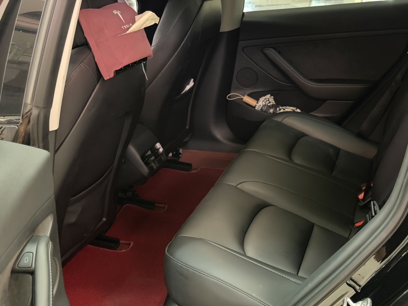 Tesla Model 3 2021 #6 Tesla Model 3 2021 car image #6