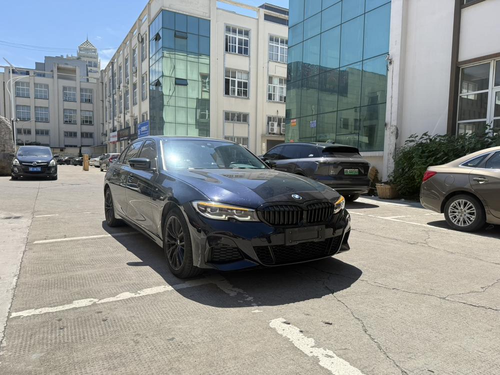 BMW 3 Series 2019 car image #3