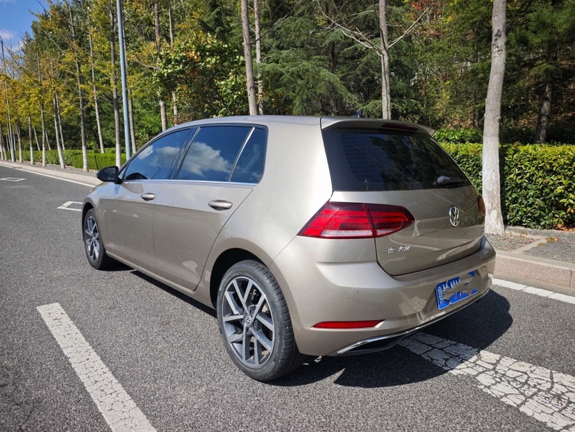 Volkswagen Golf 2020 imagen de coche #5