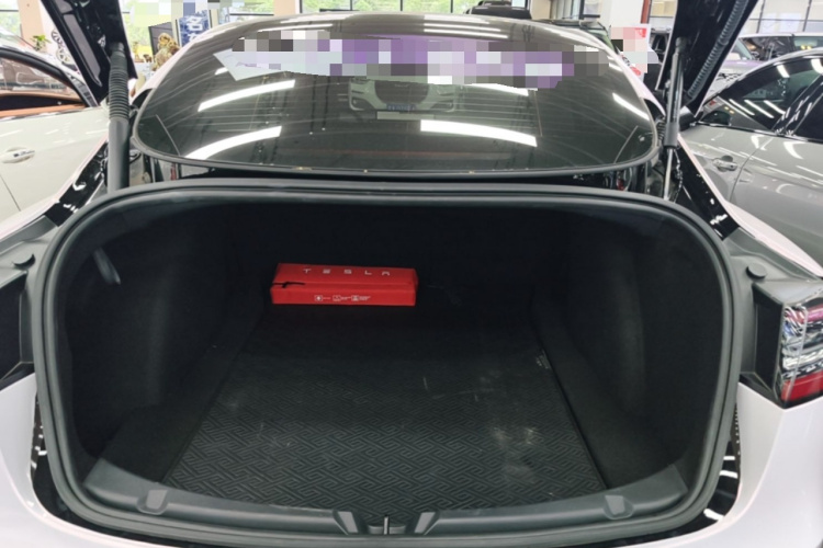 Tesla Model 3 2022 immagine di auto #21