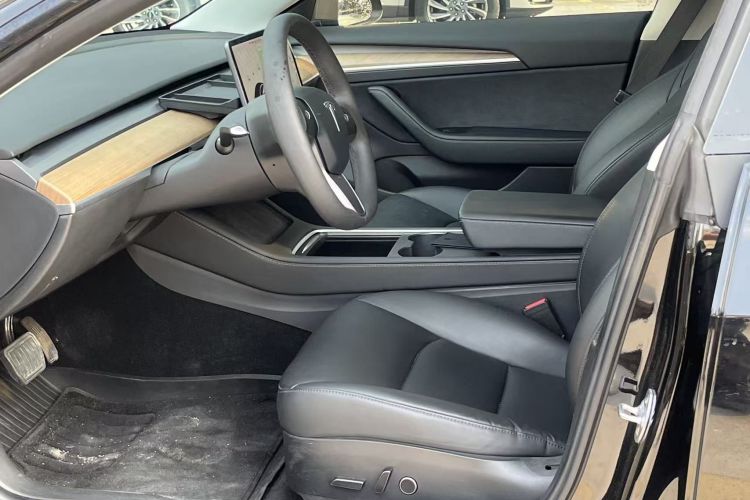 Tesla Model 3 2021 car image #17