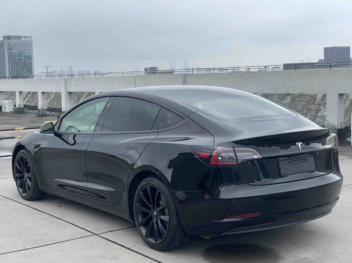 Tesla Model 3 2020 car image #4