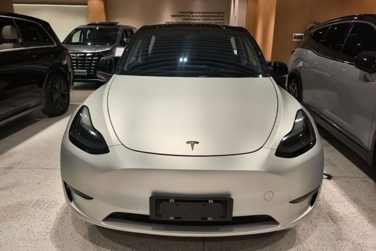Tesla Model Y 2021 #3 Tesla Model Y 2021 car image #3
