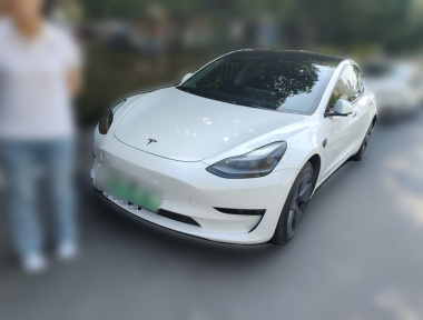 Tesla Model 3 2021 Tesla Model 3 2021 car image