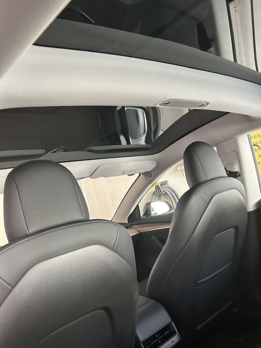 Tesla Model 3 2022 #3 Tesla Model 3 2022 car image #3