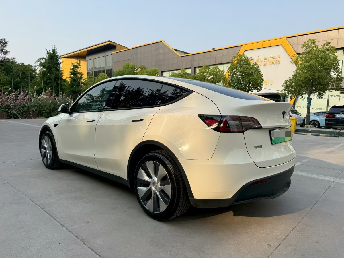 Tesla Model Y 2021 car image #4