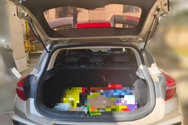 GEELY Emgrand GS 2019 car image #21