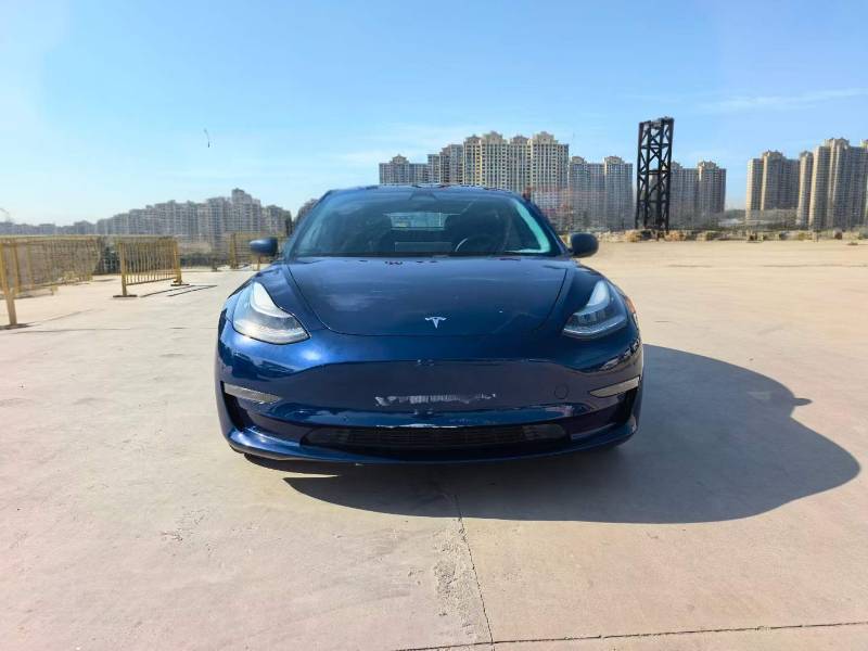 Tesla Model 3 2020 car image #3