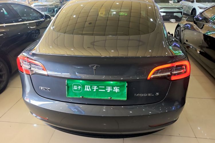 Tesla Model 3 2021 car image #6