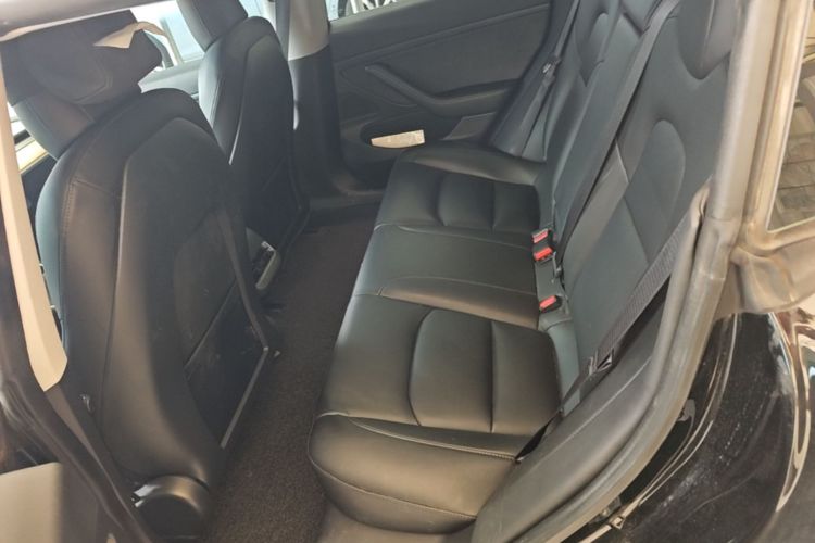 Tesla Model 3 2020 #17 Tesla Model 3 2020 car image #17