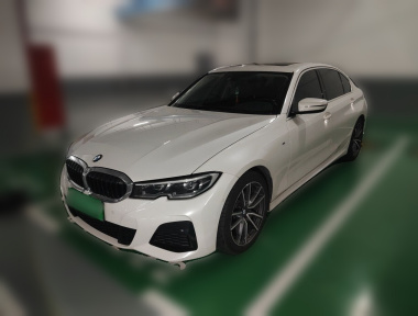 BMW 3 Series 2020 car image 