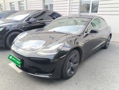 Tesla Model 3 2020 Tesla Model 3 2020 car image