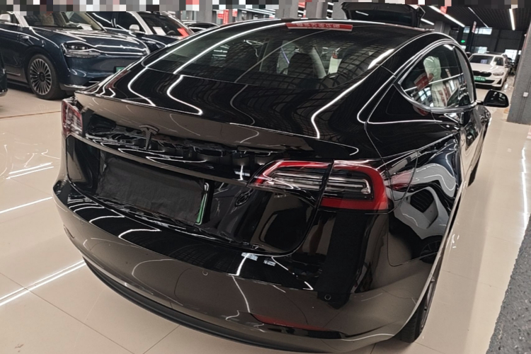 Tesla Model 3 2023 #5 Tesla Model 3 2023 car image #5