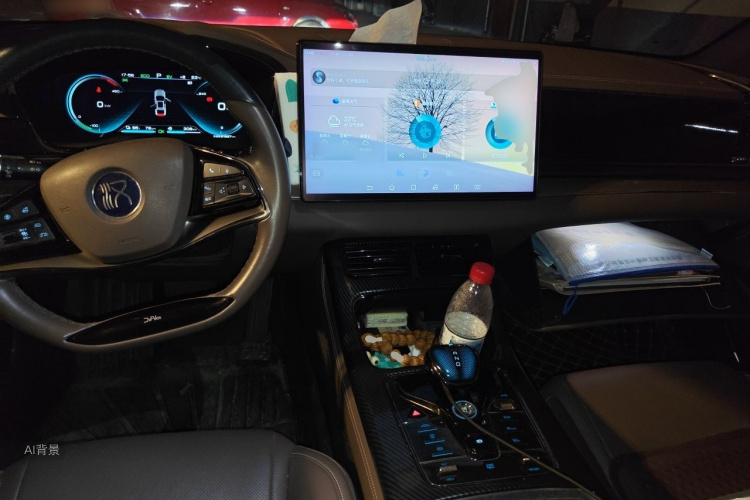 BYD Han 2020 car image #11