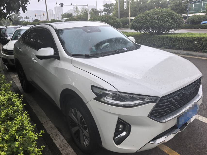 Haval F7x 2020 car image #2