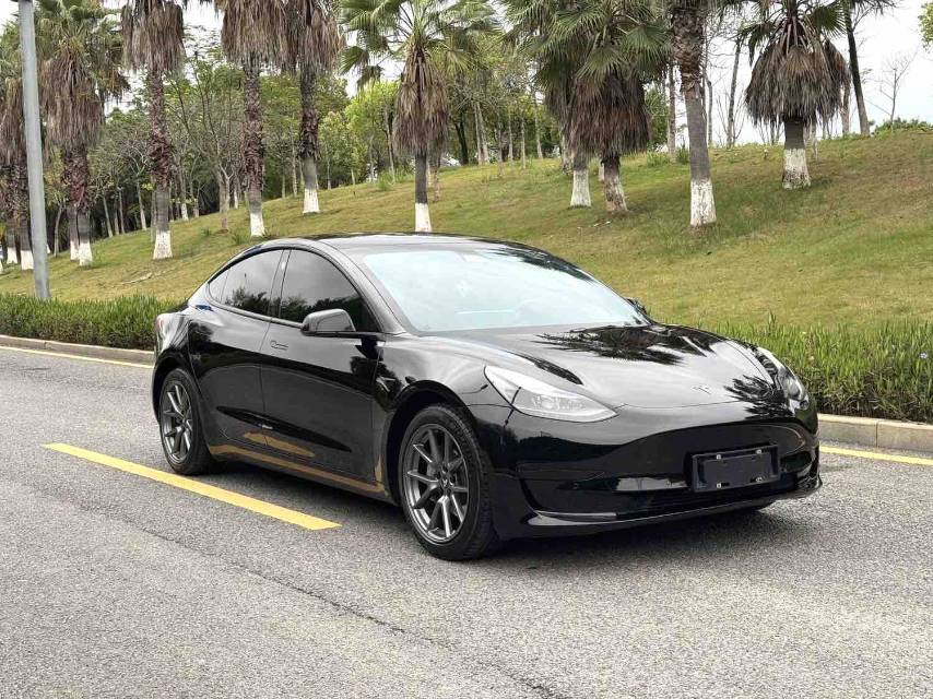 Tesla Model 3 2021 #4 Tesla Model 3 2021 car image #4