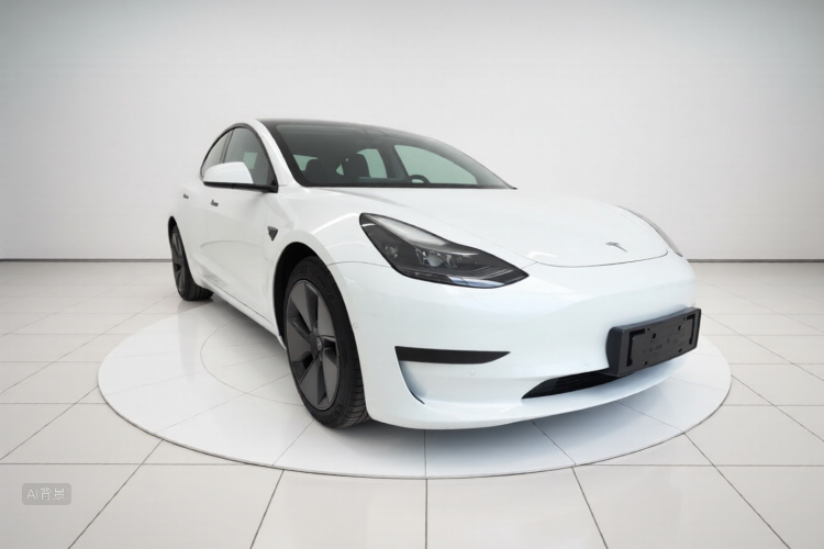 Tesla Model 3 2021 #4 Tesla Model 3 2021 car image #4