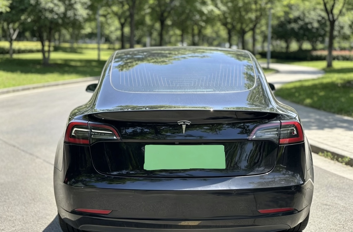 Tesla Model 3 2020 #5 Tesla Model 3 2020 car image #5