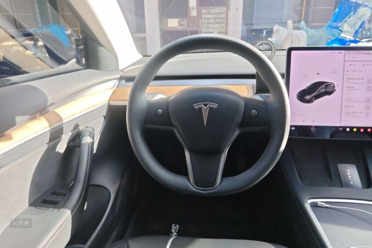 Tesla Model 3 2021 #12 Tesla Model 3 2021 car image #12