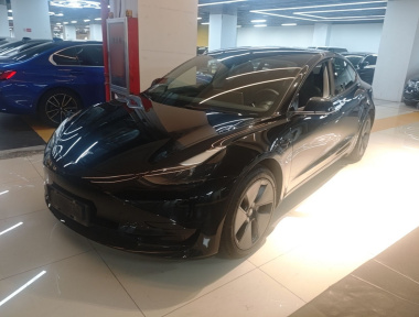 Tesla Model 3 2021 Tesla Model 3 2021 car image