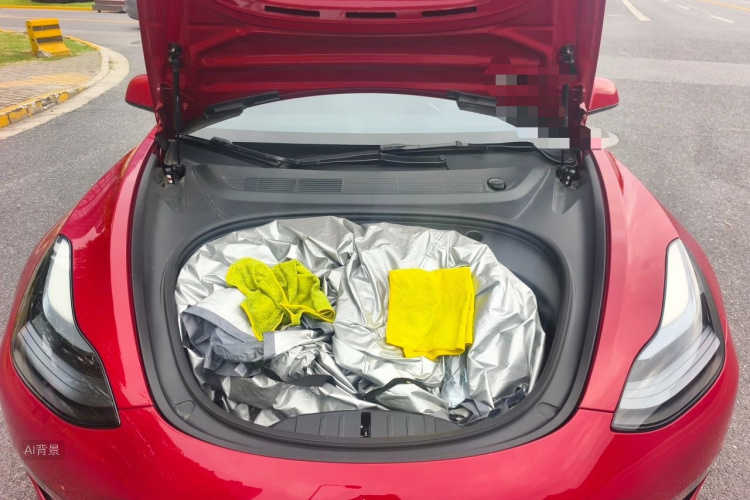 Tesla Model 3 2022 car image #22