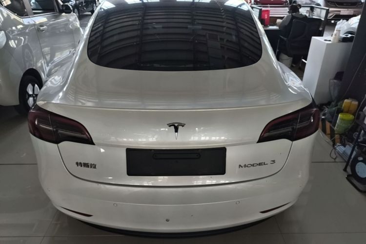 Tesla Model 3 2021 car image #6