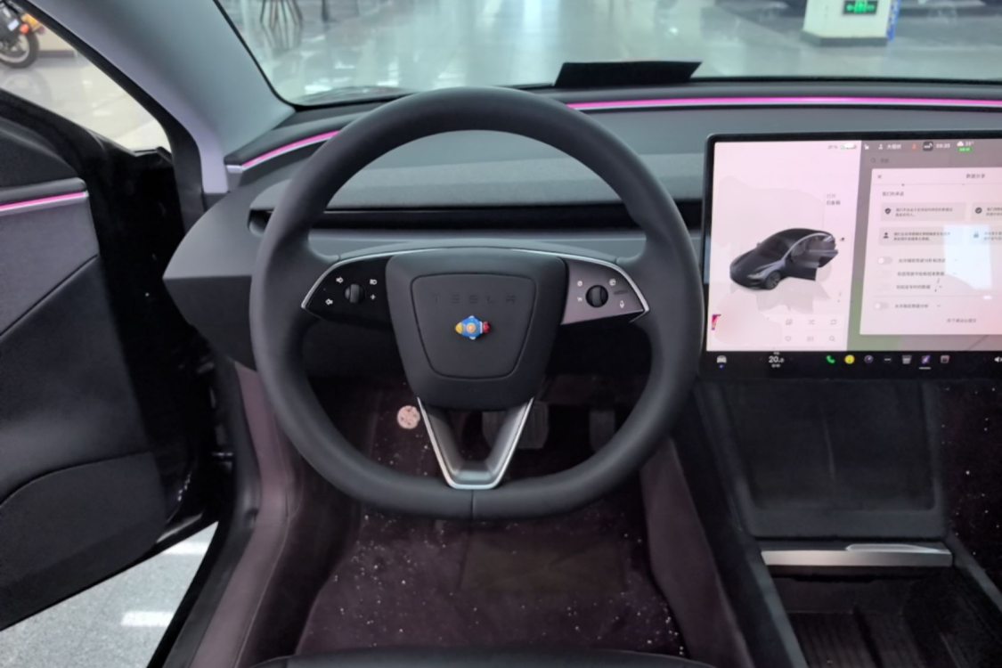 Tesla Model 3 2024 car image #16