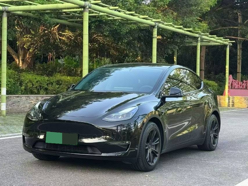 Tesla Model Y 2021 Tesla Model Y 2021 car image
