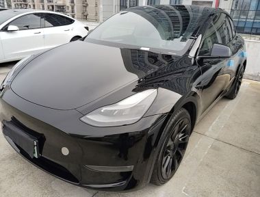 Tesla Model Y 2021 Tesla Model Y 2021 car image