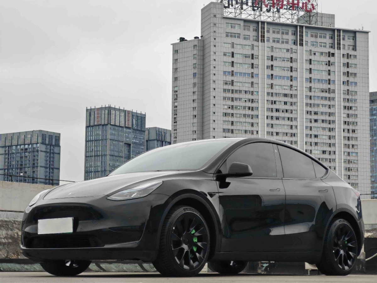 Tesla Model Y 2022 Tesla Model Y 2022 car image
