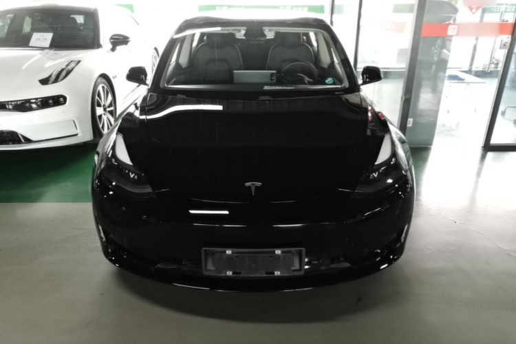 Tesla Model 3 2021 #3 Tesla Model 3 2021 car image #3