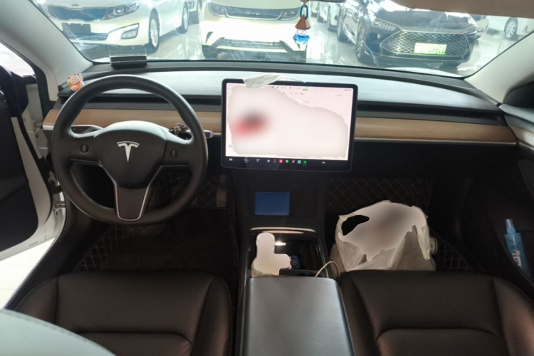 Tesla Model 3 2021 #10 Tesla Model 3 2021 car image #10
