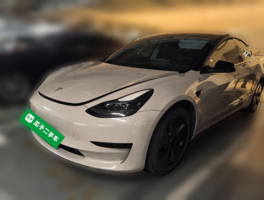 Tesla Model 3 2022 Tesla Model 3 2022 car image