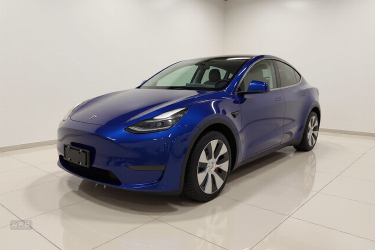 Tesla Model Y 2021 immagine di auto #2