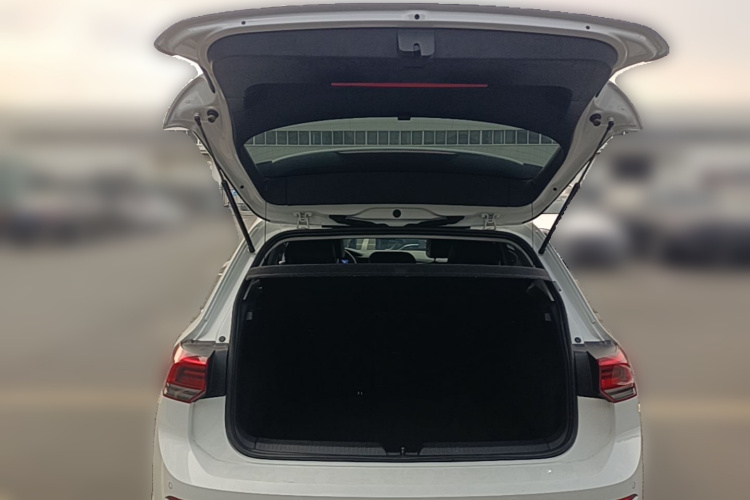 Volkswagen Golf 2021 car image #21