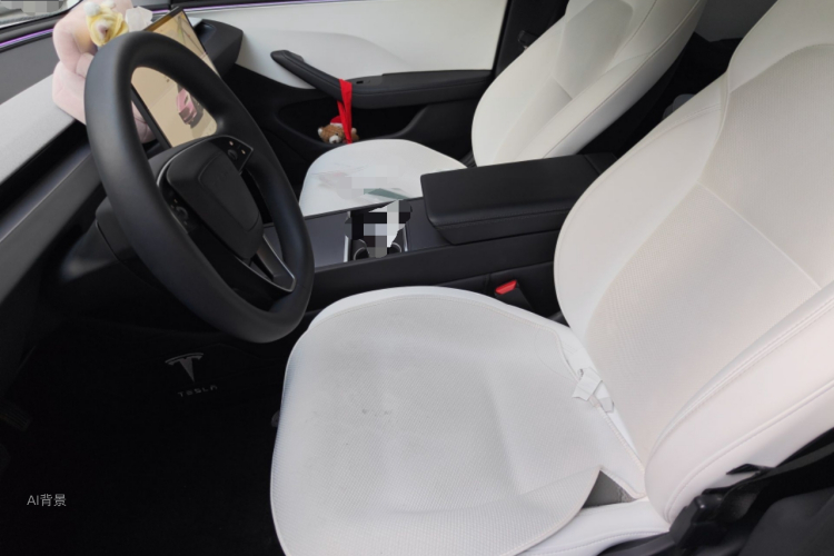 Tesla Model 3 2024 car image #17