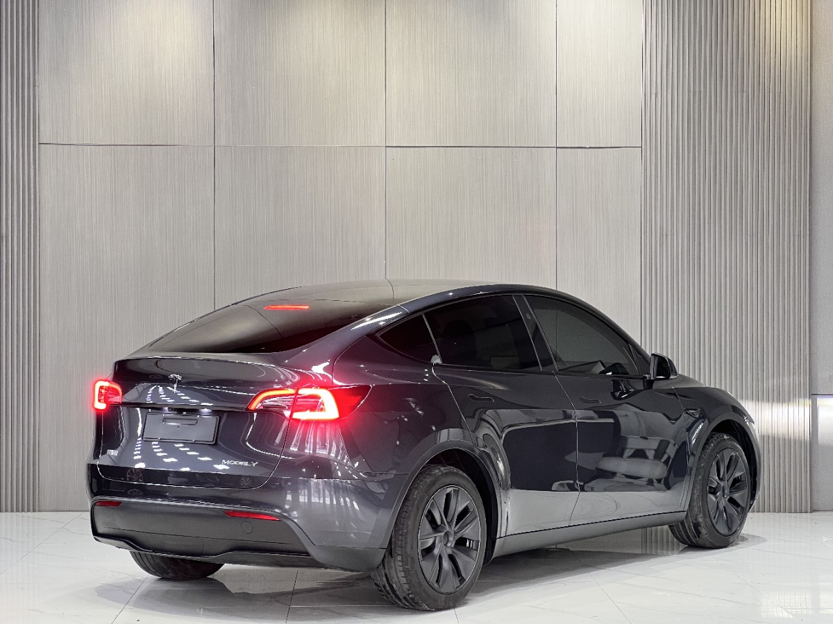 Tesla Model Y 2025 #8 Tesla Model Y 2025 car image #8