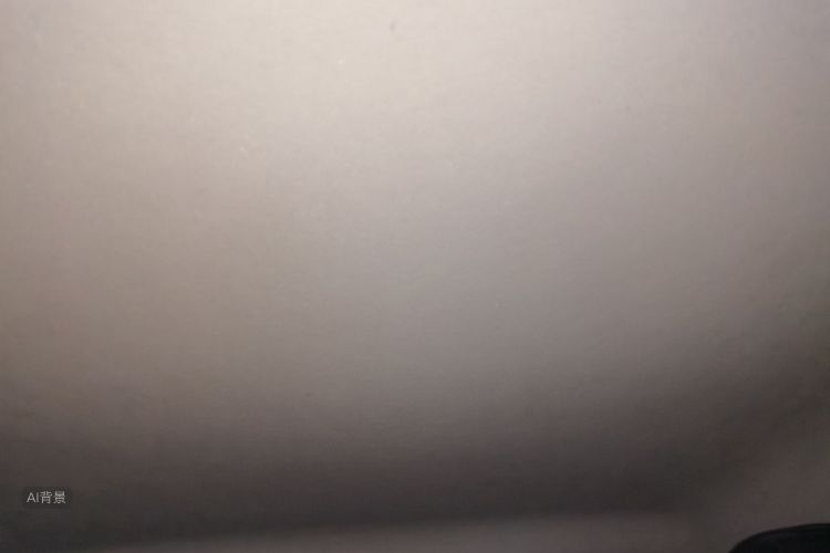 Volkswagen Santana 2016 car image #20