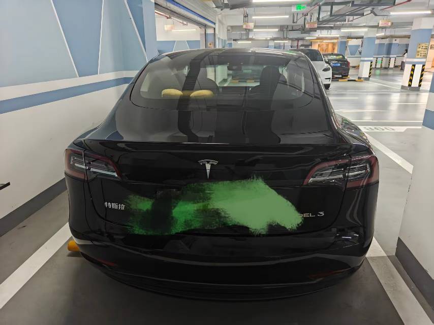 Tesla Model 3 2021 car image #5