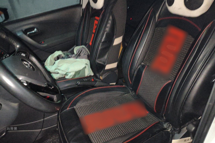 Volkswagen Polo 2016 car image #17