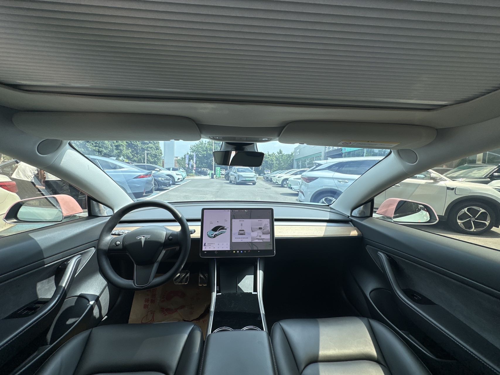 Tesla Model 3 2020 car image #6