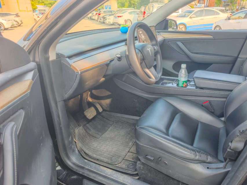 Tesla Model Y 2021 car image #6
