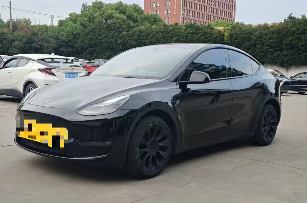 Tesla Model Y 2022 Tesla Model Y 2022 car image