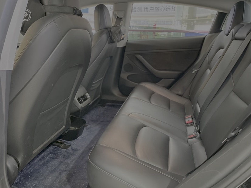 Tesla Model 3 2021 immagine di auto #9