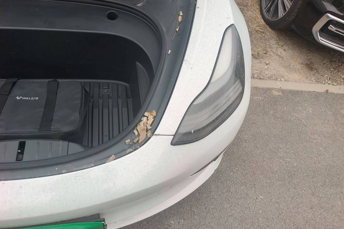 Tesla Model 3 2021 car image #12