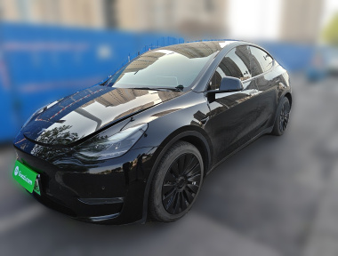 Tesla Model Y 2022 car image 
