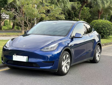 Tesla Model Y 2022 Tesla Model Y 2022 car image