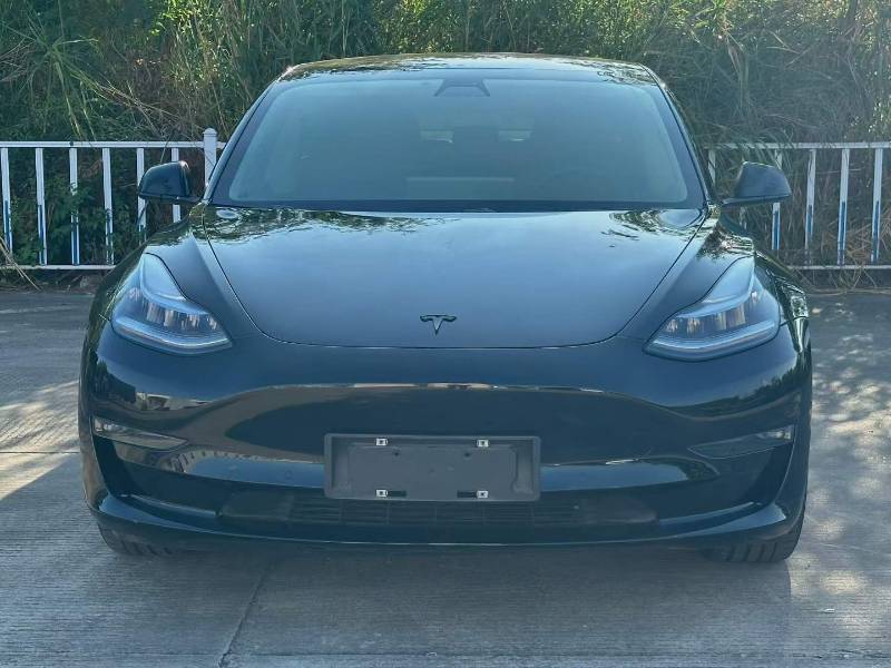 Tesla Model 3 (Imported) 2019 #2 Tesla Model 3 (Imported) 2019 car image #2