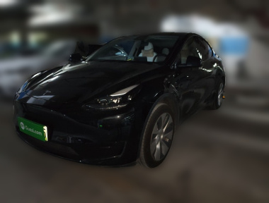 Tesla Model Y 2023 car image 